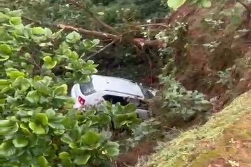 Car fell in ditch: मैनपाट के मेहता प्वाइंट में खाई में गिरी कार, 4 घायल, अंबिकापुर से आए थे घूमने