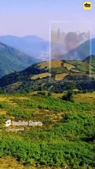 कुछ नहीं होती जाति-वाती! || आचार्य प्रशांत