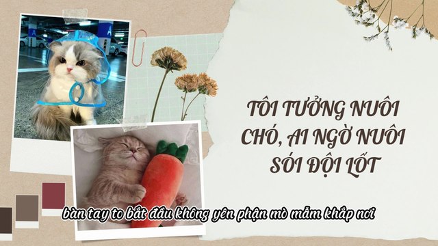 Truyện Audio Hay || Tôi Tưởng Nuôi Chó, Ai Ngờ Nuôi Sói Đội Lốt || Thiên Thần DẮt Truyện
