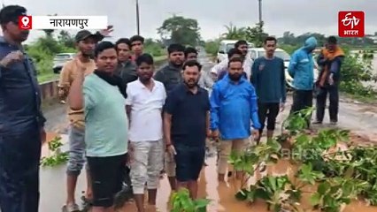 सड़क के गड्ढों पर युवा कांग्रेस का प्रदर्शन, बेशरम का पौधा लगाकर कमल का फूल किया गिफ्ट