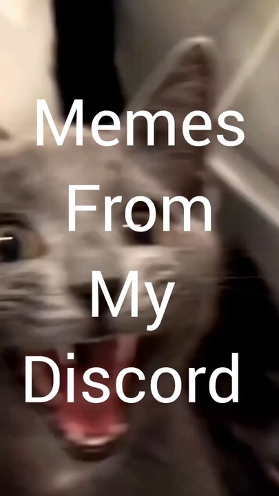 Meme Compilation -16