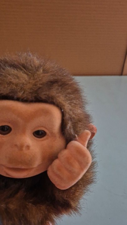 monkey
