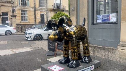 Gromit’s have started to appear around the city: Why The Grand Appeal is saving lives!