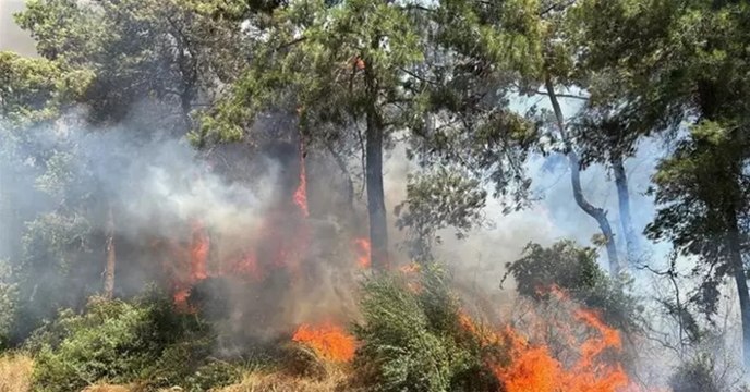 Antalya’nın Manavgat ilçesinde orman yangını