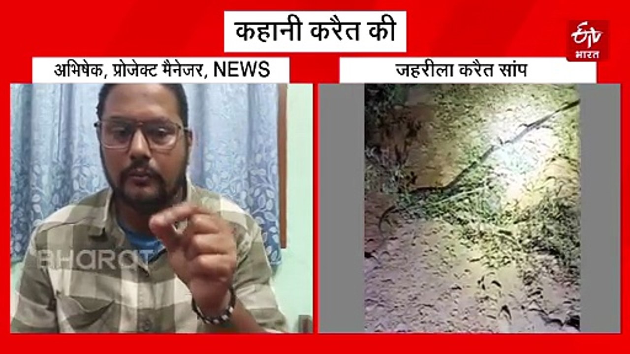 ये सांप नहीं.. साइलेंट किलर, बिस्तर पर चढ़कर काट लेता है, जानिए कितना खतरनाक है कॉमन करैत