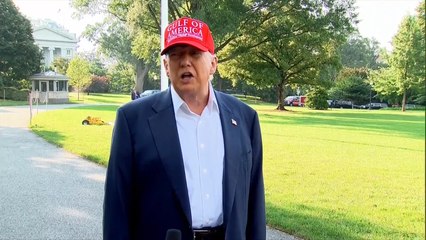 Donald Trump says 'we want to get our hostages' back as hopes rise of Gaza ceasefire in JUST days