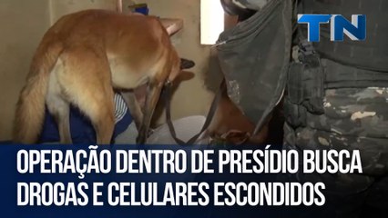 Operação dentro de presídio busca drogas e celulares escondidos