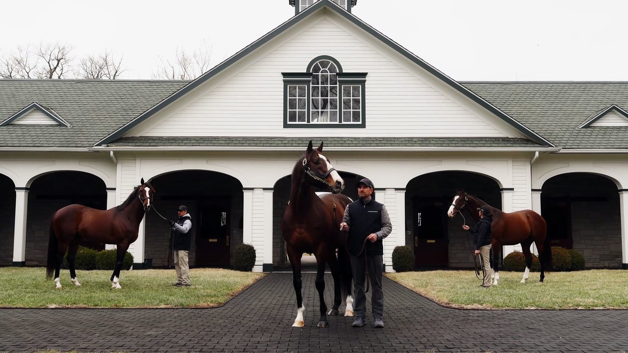 Spendthrift - Into Mischief - Derby Legacy 3