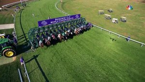 Coolmore - Golden Pal