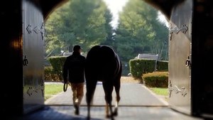 Coolmore - Jack Christopher