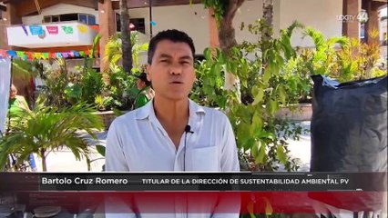 La presencia de cocodrilos en Puerto Vallarta aumenta durante el temporal