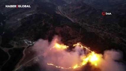Keneyi yakmak isterken ormanı yaktı