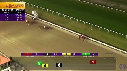 Coolmore - Epicenter 2