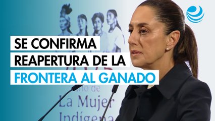 Sheinbaum confirma primer acuerdo con EU para reapertura de la frontera al ganado mexicano