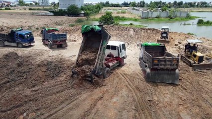 Amazing-Episode-Powerful-Bulldozer-KOMATSU-D31P-and-D21P-Showing-Skill-Pushing-Soil-Refill-Lake
