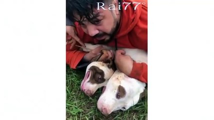 Тренер по муай-тай скрутил двух агрессивных псов в Бразилии