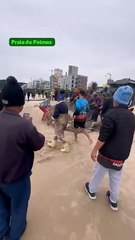 Tainhas são capturadas em Governador Celso Ramos