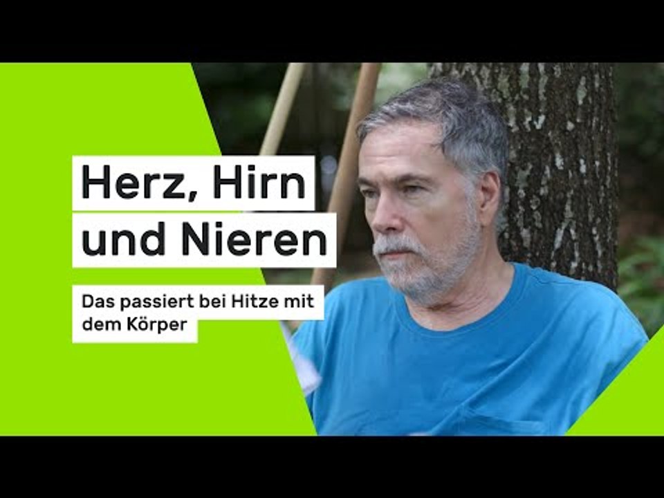Herz, Hirn und Nieren: Das passiert bei Hitze mit dem Körper