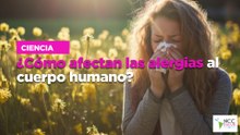 ¿Cómo afectan las alergias al cuerpo humano?