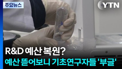 R&D 예산 복원?...예산 뜯어보니 기초연구자들 '부글' / YTN