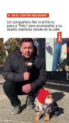 ❄️ Hasta los perritos buscan la manera de zafar del frío en Neuquén
