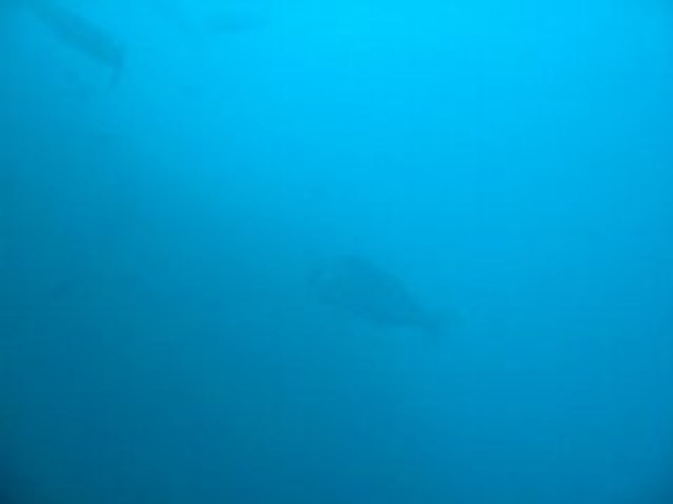 010.La gabiniere_9mai2008