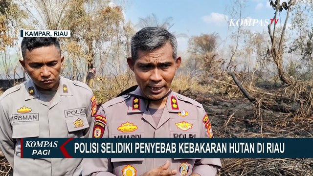 Polisi Selidiki Penyebab Kebakaran Hutan di Riau Capai 312 Hektare