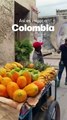 Colombia te espera: ¡La aventura de tu vida!