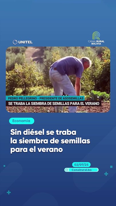 Sin diésel se traba la siembra de semillas para el verano