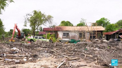 Surinam padece la pérdida de sus manglares en medio de la erosión costera