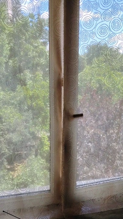 Marius Enea Cluj-Napoca Romania