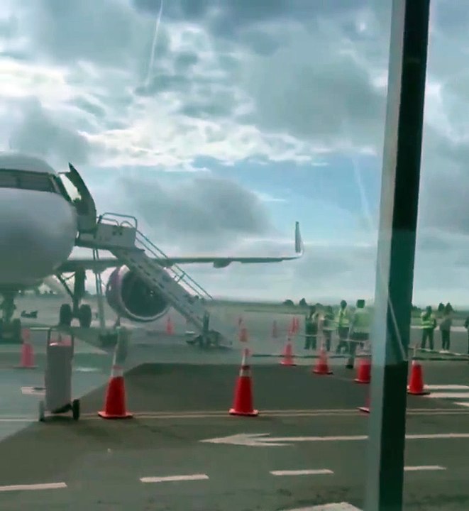 Avión