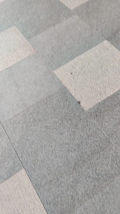 Daily caffe Marius Enea Cluj-Napoca Romania