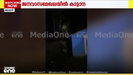 വയനാട് മേപ്പാടി നെല്ലിമുണ്ടയിൽ ജനവാസമേഖലയിൽ ഇന്നലെയും കാട്ടാനയെത്തി
