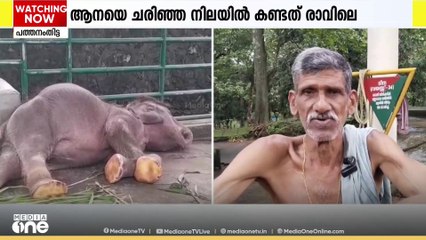 കോന്നി ആനക്കൊട്ടിലിലെ കൊച്ചയ്യപ്പൻ എന്ന ആന ചരിഞ്ഞു