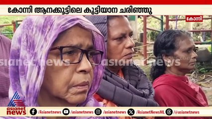 സങ്കടക്കാഴ്ച്ച...  കോന്നി ആനക്കൂട്ടിലെ കൊച്ചയ്യപ്പൻ ചരിഞ്ഞു; കാരണം തേടി വനംവകുപ്പ്