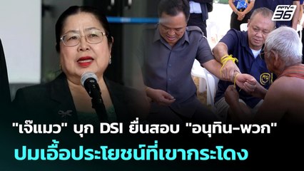 "เจ๊แมว" บุก DSI ยื่นสอบ "อนุทิน-พวก" ปมเอื้อประโยชน์ที่เขากระโดง | เที่ยงทันข่าว | 2 ก.ค. 68