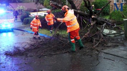 SES rescues following intense weather across the Illawarra