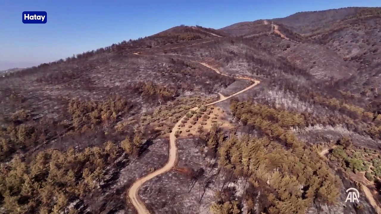 Hatay'daki orman yangınında zarar gören alanlar dronla görüntülendi