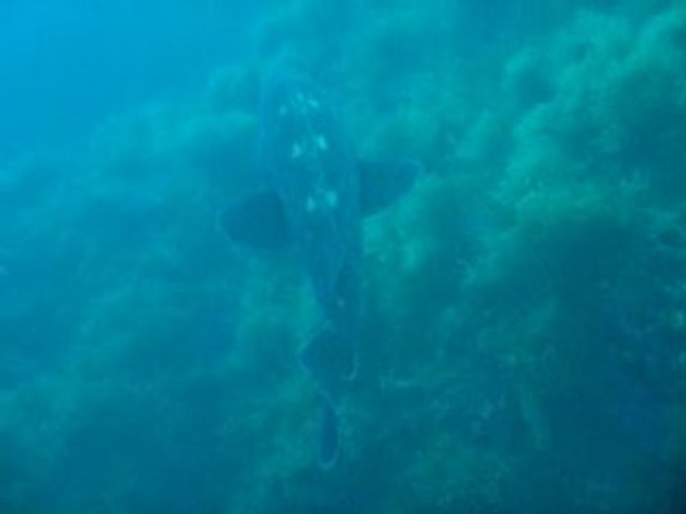 011.La gabiniere_9mai2008