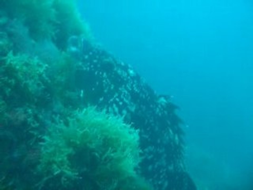 012.La gabiniere_9mai2008