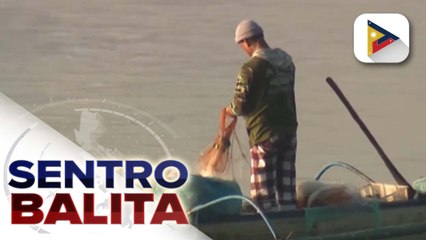 Tawilis, bangus at tilapia mula sa Taal Lake, ligtas kainin ayon sa BFAR