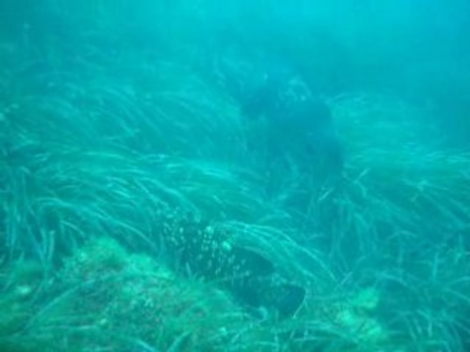 013.La gabiniere_9mai2008