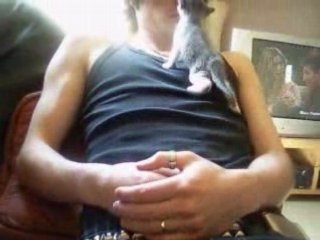 Petit chaton a ceder