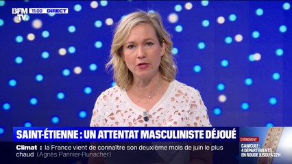 Un attentat d'un jeune homme masculiniste appartenant à la mouvance "incel" déjoué près de Saint-Étienne