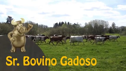 E o prêmio Sr. Bovino Gadoso de Julho de 2020 vai para... | Visão Libertária - 26/07/20 | ANCAPSU