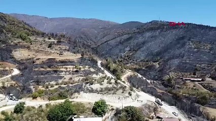 Hatay'ın ciğerleri yandı bitti kül oldu! Yanan alanlar havadan görüntülendi