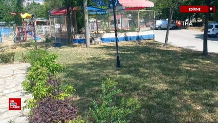 Edirne’de başıboş 8 köpek, köpeğini gezdiren vatandaşa saldırdı