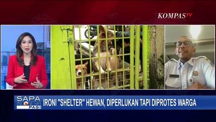 [FULL] Pejaten Shelter Jakarta Diprotes Warga, Bagaimana Nasib Ratusan Hewan? | SAPA PAGI