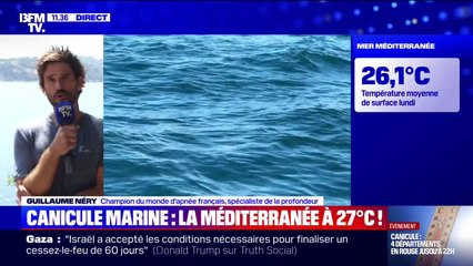 Canicule marine: "C'est le vivant qui trinque (...) c'est absolument dramatique", déplore Guillaume Néry (champion du monde d'apnée français)